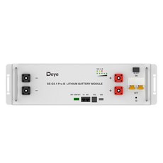 Deye 51.2kWh Server Rack Battery | 48V 100Ah LiFePO4 Battery | 10-Year Warranty | UL1973, UL9540A Certified